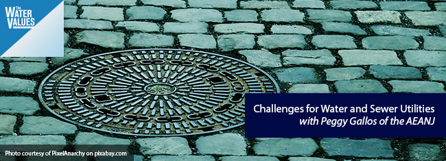 Challenges for Water and Sewer Utilities with Peggy Gallos of the AEANJ