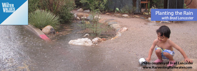 Planting the Rain with Brad Lancaster