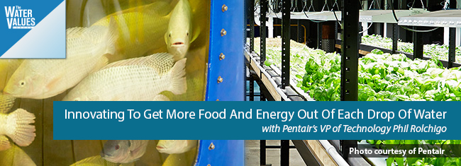 Innovating to Get More Food and Energy Out of Each Drop of Water with Pentair’s VP of Technology Phil Rolchigo