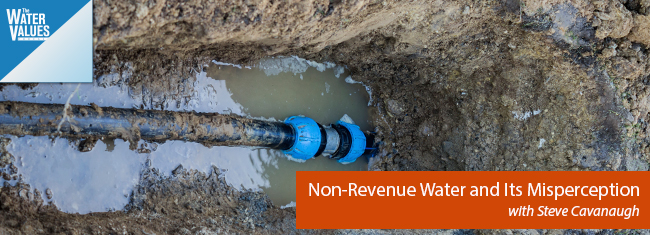 Non-Revenue Water and Its Misperception with Steve Cavanaugh