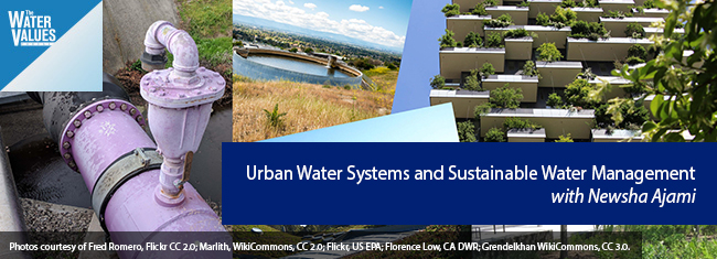 Urban Water Systems and Sustainable Water Management with Newsha Ajami